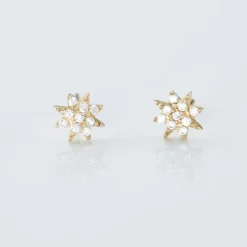 Histoire d'Or Boucles D'oreilles Puces Aubepine Or Jaune Oxyde Outlet