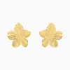 Histoire d'Or Boucles D'oreilles Puces Barbade Acier Jaune