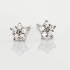 Histoire d'Or Boucles D'oreilles Puces Elais Etoile Or Blanc Oxyde De Zirconium Online