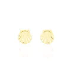 Histoire d'Or Boucles D'oreilles Puces Franzine Coquillage Or Jaune Best