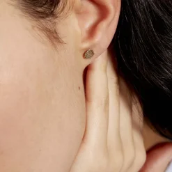 Histoire d'Or Boucles D'oreilles Puces Franzine Coquillage Or Jaune Best