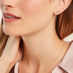 Histoire d'Or Boucles D'oreilles Puces Foliora Or Jaune New