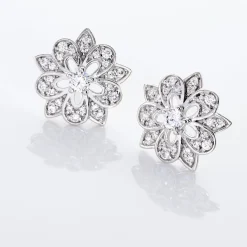 Histoire d'Or Boucles D'oreilles Puces Iona Argent Blanc Oxyde De Zirconium Discount