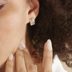 Histoire d'Or Boucles D'oreilles Puces Leopoldine Or Jaune Diamant New