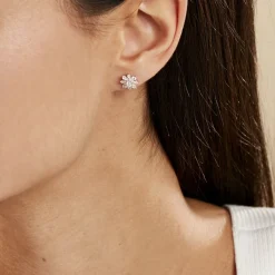 Histoire d'Or Boucles D'oreilles Puces Lorraine De Zirconium argent rose oxyde Clearance