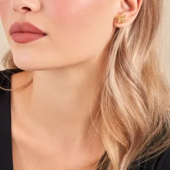 Histoire d'Or Boucles D'oreilles Puces Leonidas Or Jaune Best