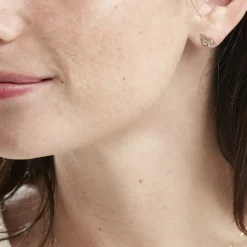 Histoire d'Or Boucles D'oreilles Puces Or Jaune Albizia Oxydes De Zirconium Best