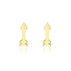 Histoire d'Or Boucles D'oreilles Puces Or Jaune Gnazi Best