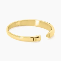 Histoire d'Or Bracelet Jonc Emiliaan Acier Jaune Hot