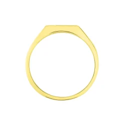 Histoire d'Or Chevaliere Or Jaune Diomedes Diamant