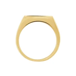 Histoire d'Or Chevalière Luciano acier doré Hot