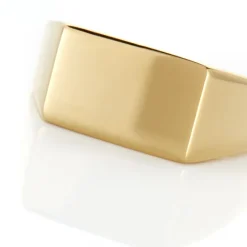 Histoire d'Or Chevalière Luciano acier doré Hot