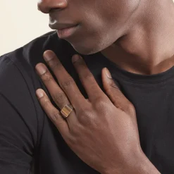 Histoire d'Or Chevalière Argent Blanc Atilio Oeil De Tigre Best