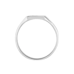 Histoire d'Or Chevalière Daniel argent blanc