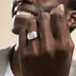 Histoire d'Or Chevalière Daniel argent blanc