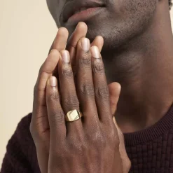 Histoire d'Or Chevalière Daniel plaqué or jaune Online