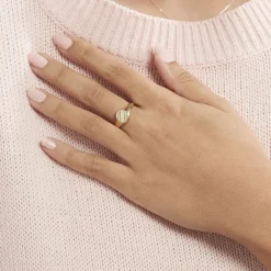 Histoire d'Or Chevalière Gregoire Plaqué Or Jaune Discount