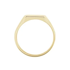 Histoire d'Or Chevalière Rafael Plaqué Or Jaune