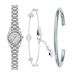 MICHAEL KORS Coffret De Montre Micro Lexington Argenté