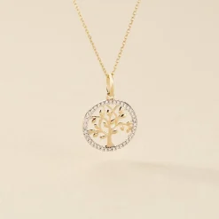 Histoire d'Or Collier Darell Or Jaune Oxyde De Zirconium Discount