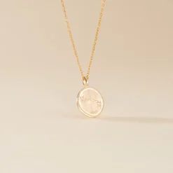 Histoire d'Or Collier Iago Plaqué Or Oxydes De Zirconium New