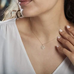 Histoire d'Or Collier Or Bicolore Solidage Online