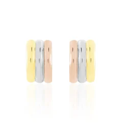 Histoire d'Or Créoles Igora Or Tricolore