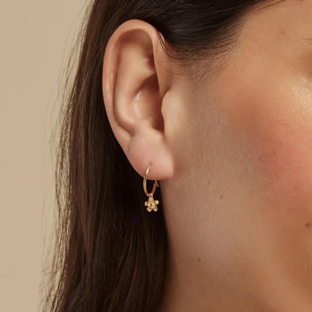 Histoire d'Or Créoles Rorie Or Jaune Online