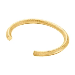 Histoire d'Or Jonc Hera Acier Dore Yseut Effet Strie Best