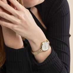 HUGO BOSS Montre Boss Majesty Argenté New