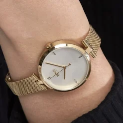 HUGO BOSS Montre Boss Majesty Argenté New