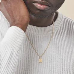 Histoire d'Or Pendentif Lamie Zodiaque Or Jaune Sale