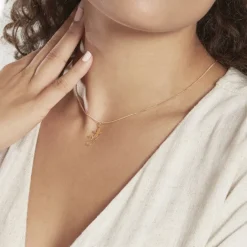 Histoire d'Or Pendentif Salamandre Or Jaune Sale