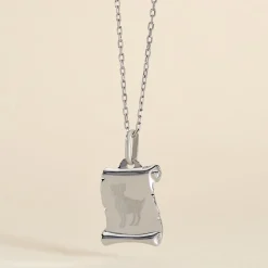 Histoire d'Or Pendentif Zodiaque Parchemin Argent Blanc Best